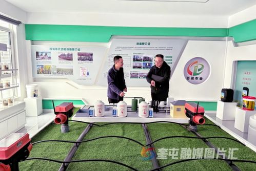 奎屯-獨(dú)山子經(jīng)濟(jì)技術(shù)開(kāi)發(fā)區(qū) 政企銀聯(lián)動(dòng)強(qiáng)鏈補(bǔ)短，技術(shù)開(kāi)發(fā)提速園區(qū)高質(zhì)量發(fā)展